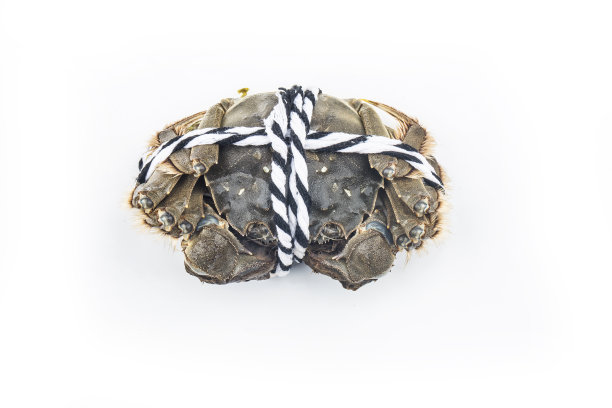 生大闸蟹，上海大闸蟹图片下载