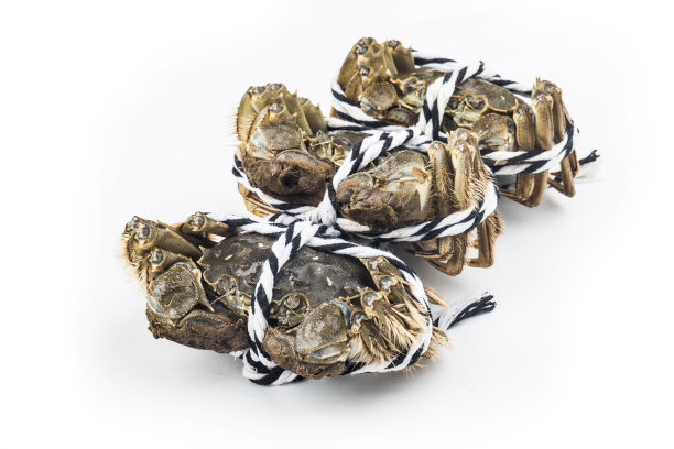 生大闸蟹，上海大闸蟹图片下载