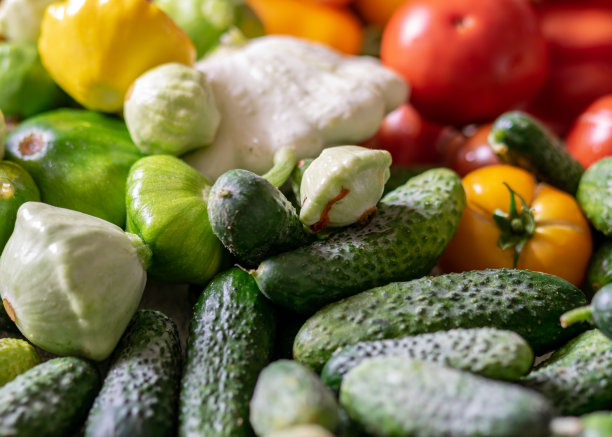 彩色照片用秋天的蔬菜放在桌子上，不同颜色、形状和种类的蔬菜准备家庭罐装，秋天收获的时候图片下载