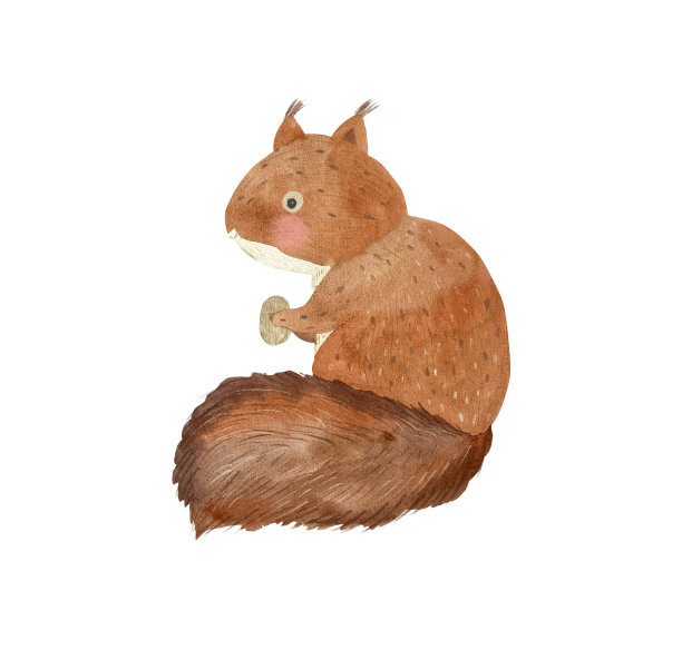 水彩松鼠。儿童林地动物插图图片下载