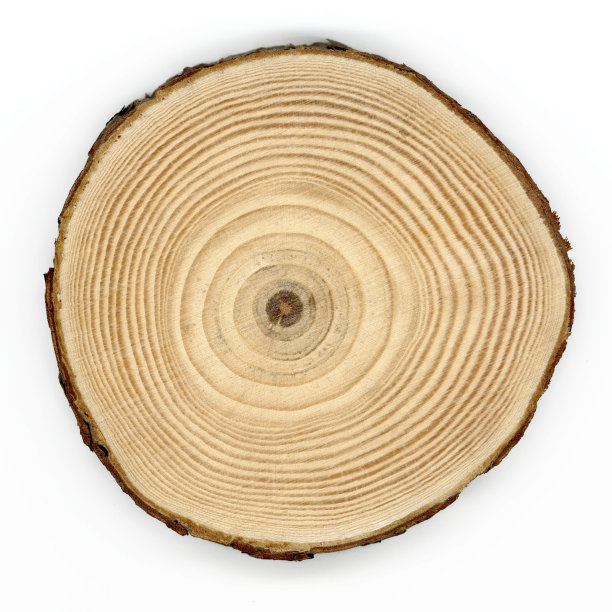 树的年轮图片下载
