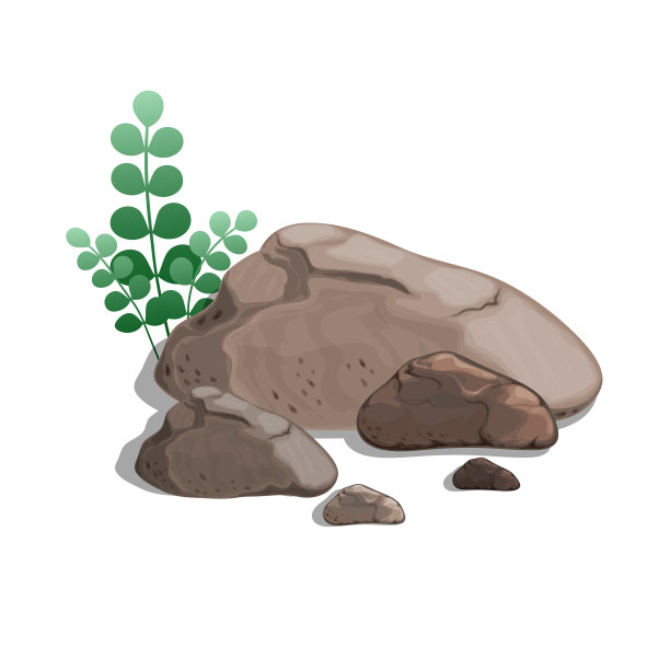 褐石带草的自然景观图片下载