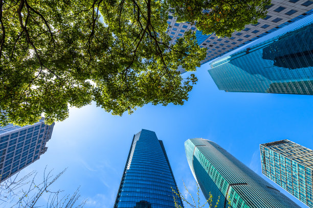 鲜绿和建筑集团存量图片下载