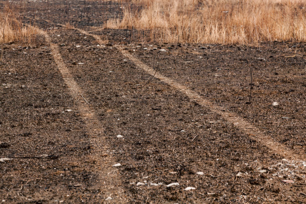 道路上的车轮痕迹图片下载
