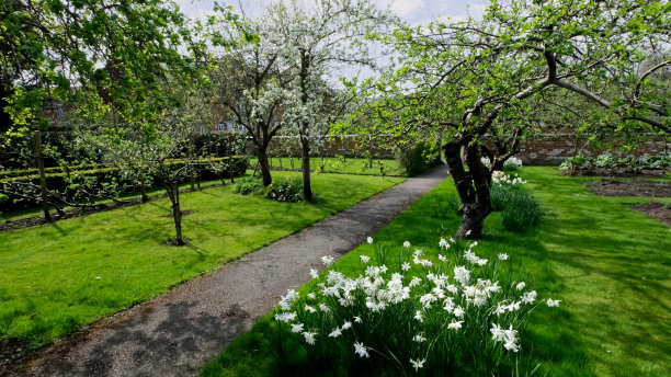 夏季花围花园五颜六色的植物园艺边界图片下载
