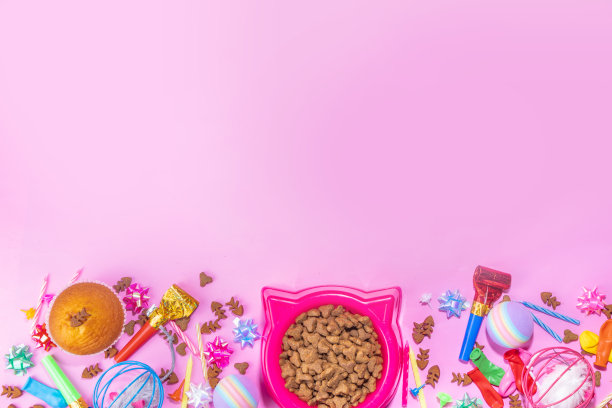 宠物猫生日快乐的背景图片下载