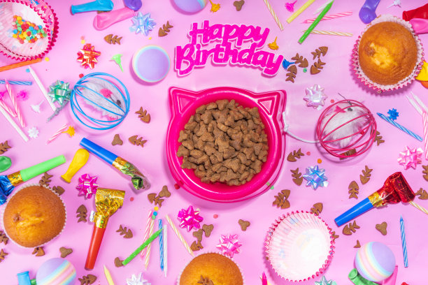 宠物猫生日快乐的背景图片下载