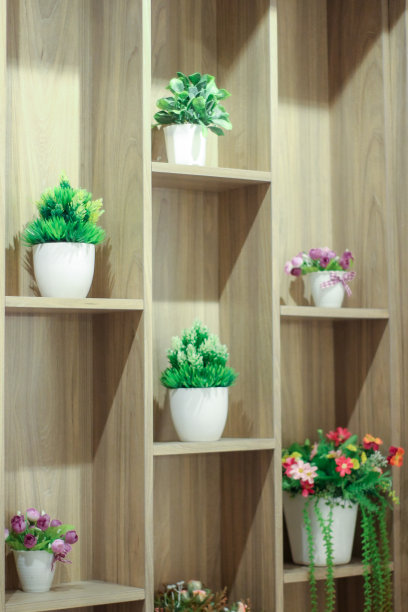 客厅橱柜里的观赏植物图片下载