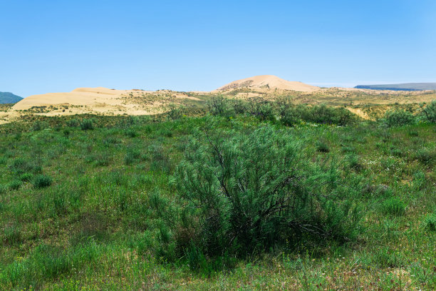 沙柳库姆沙丘附近为半荒漠、干草原景观图片下载