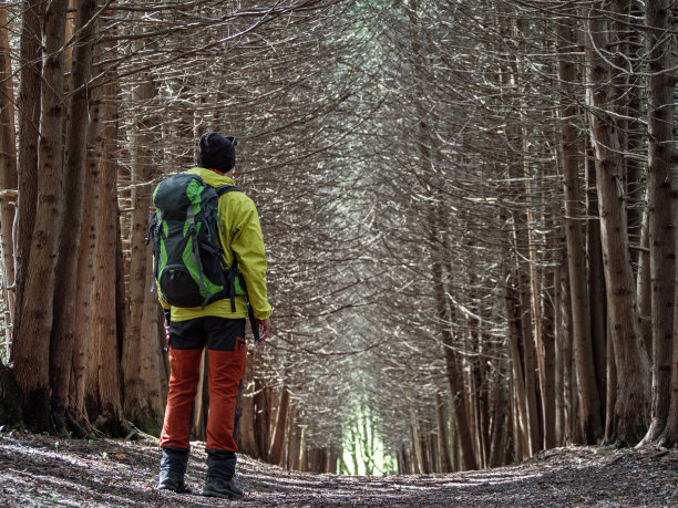 人在黑暗的秋天森林里图片下载