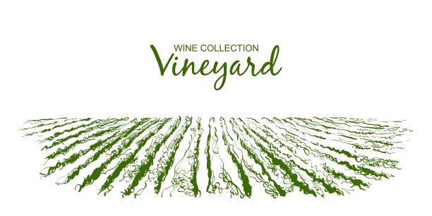 矢量藤种植丘陵景观。画着一排排沾着酒渍的葡萄园。线草图说明图片下载