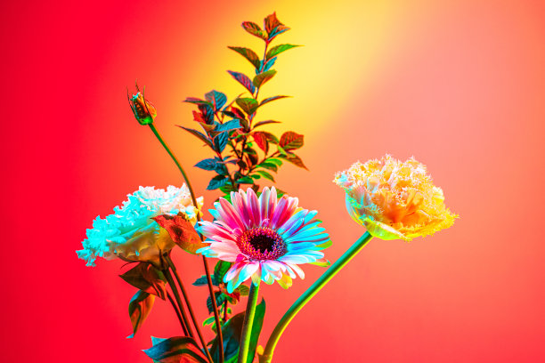 美丽的花束，抽象的花卉组成玻璃花瓶在粉红色，品红背景在霓虹灯。花艺、装饰、创意、装饰的概念图片下载