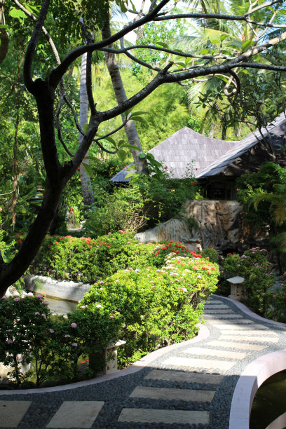 在马尔代夫的一天，在修剪整齐的灌木丛、棕榈树和木制建筑之间，用石头和瓷砖铺成形状的道路图片下载