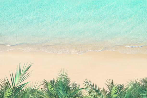 热带沙滩、棕榈树和大海的鸟瞰图。海洋海岸线。无人驾驶飞机的照片。背景。本空间图片下载