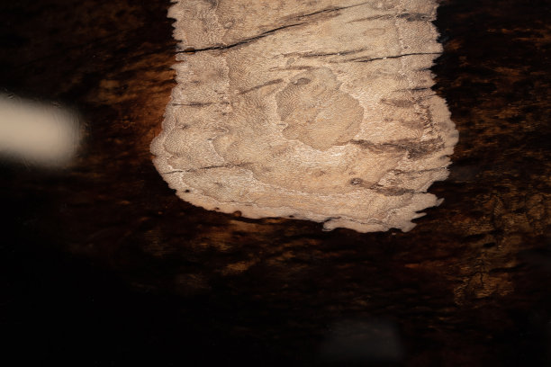 黑色背景的木桌。商业计划书的概念。图片下载