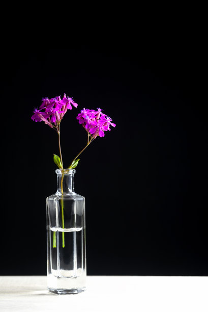 背景材料中的小花图片下载