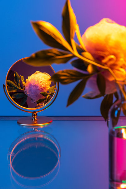 在霓虹灯的深色背景上创造性的花卉组成。艺术概念，花艺，装饰，创意，装饰图片下载