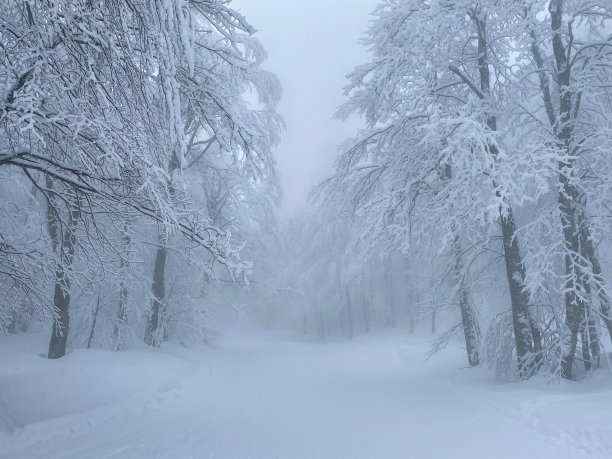 当你在空旷的小路上滑雪的时候，你头顶上雪山的风景照片。图片下载