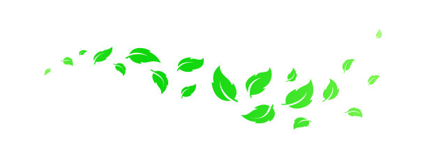 绿色抽象曲线与自然叶片轮廓图片下载