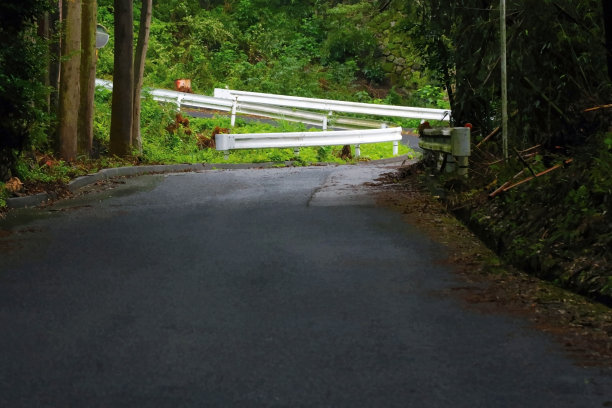 蜿蜒的白色护栏保护着上坡路。图象:作为插图摄影处理的图象图片下载
