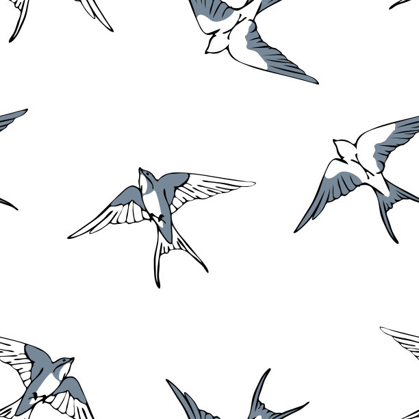 一群雪白的燕子图片下载