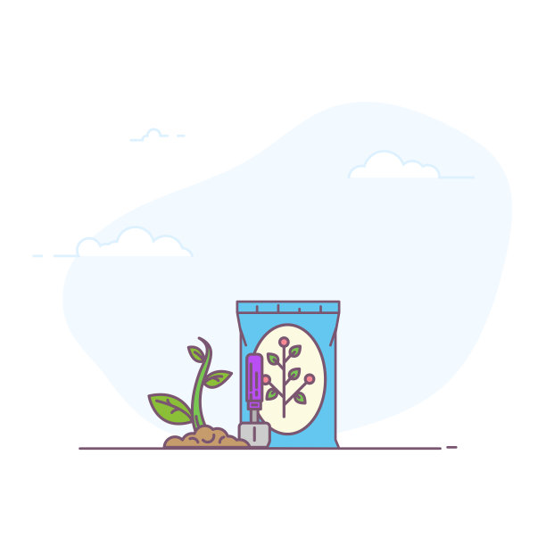 种子用球鞋包裹图片下载