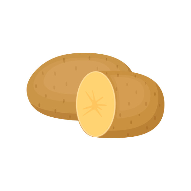 马铃薯，整个块茎和一半。有机健康的蔬菜。矢量图图片下载