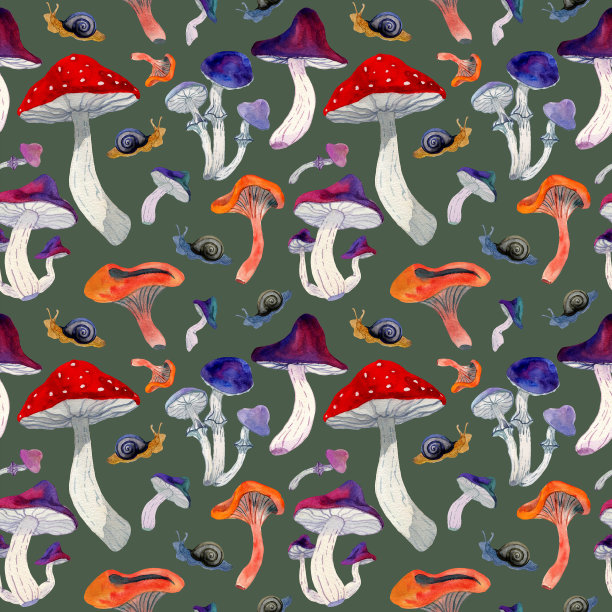 无缝水彩图案蘑菇在绿色的背景。红菇、蝇木耳、鸡油菌、毒菌、蜗牛。图片下载