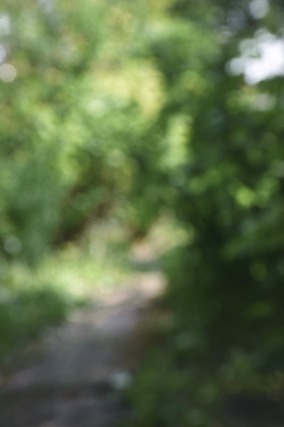 模糊自然绿地公园，抽象背景。复制空间的旅游、自然、冒险和环境生态理念图片下载