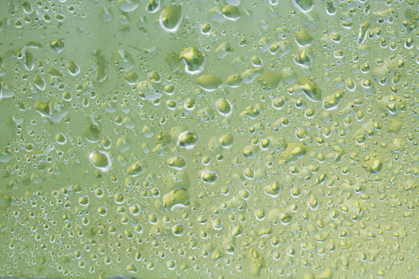 用水滴润湿哑光透明表面图片下载