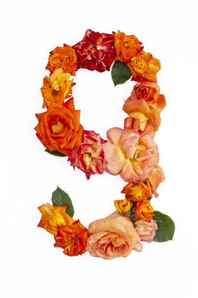 九号是用真正的红橙玫瑰做成的，孤立在白色背景上。图片下载