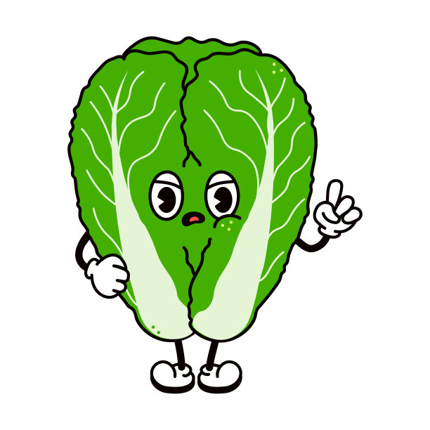 可爱生气伤心的大白菜性格。矢量手绘传统卡通复古，复古，卡哇伊人物插图图标。孤立在白色背景。愤怒的白菜性格概念图片下载