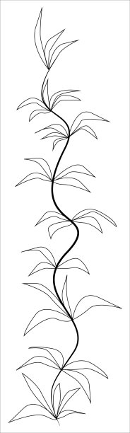 丝带图案的边界。花卉图案的边界装饰边缘的叶子图片下载