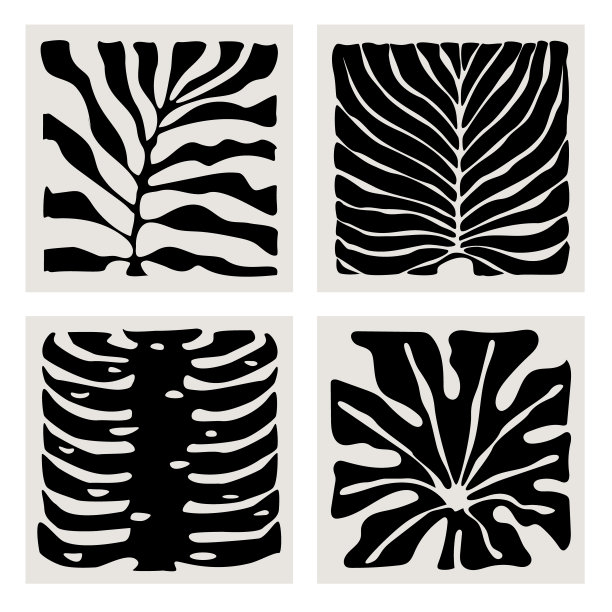 抽象几何植物叶子，现代墙艺术图形版画模板，水墨叶矢量插图图片下载