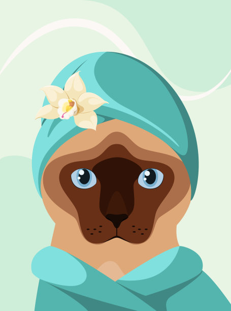 拿着毛巾的暹罗猫图片下载