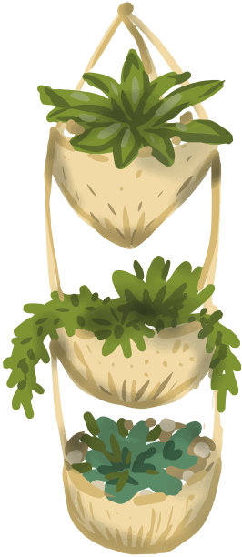 室内植物在花盆中图片下载