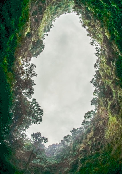 谷和树木图片下载