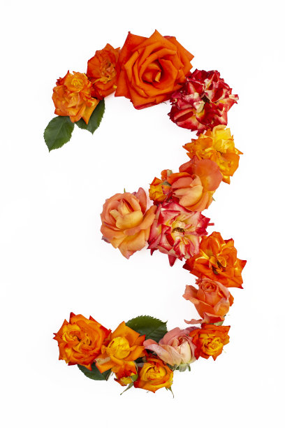 三号用真正的红橙玫瑰制成，孤立在白色背景上。图片下载