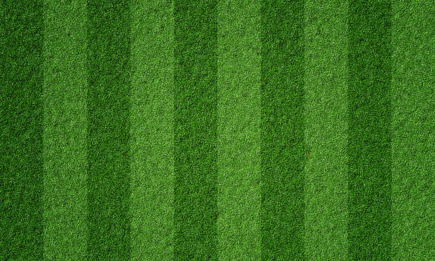 足球场内的足球场有线草图案。运动背景和运动墙纸的概念。3 d演示呈现图片下载