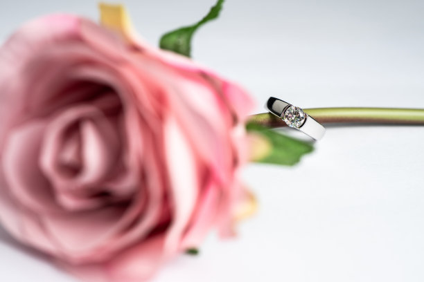 玫瑰的背后是惊喜图片下载