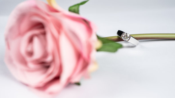 玫瑰和戒指图片下载