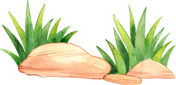 绿草与石边水彩图片下载