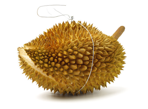 榴莲果图片下载