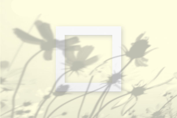自然光线投射出花的阴影在黄色背景上白色纹理纸的方形框架上。模拟一个植物阴影的覆盖层图片下载