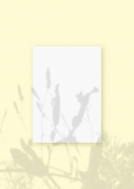 自然光将植物的阴影投射在黄色纹理背景上的一张长方形白色纹理A4纸上。模型图片下载