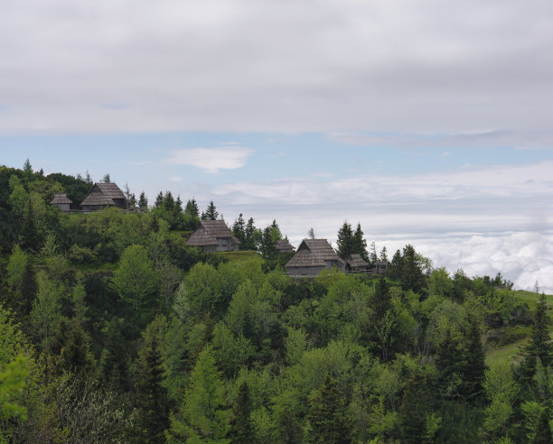 斯洛文尼亚，Velika Planina，森林山顶上的传统谢泼德小屋，背景是多云的天空图片下载