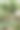 温室内有各种各样的绿色植物。在春天种植作物的概念。图片下载