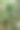 温室内有各种各样的绿色植物。在春天种植作物的概念。图片下载