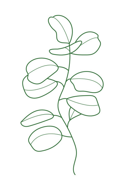 桉树枝干线型波西米亚风格图片下载