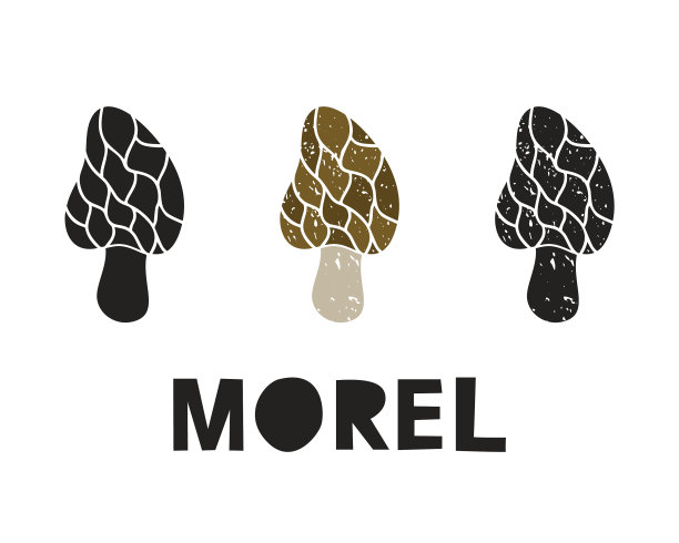 莫雷尔蘑菇剪影图标设置图片下载